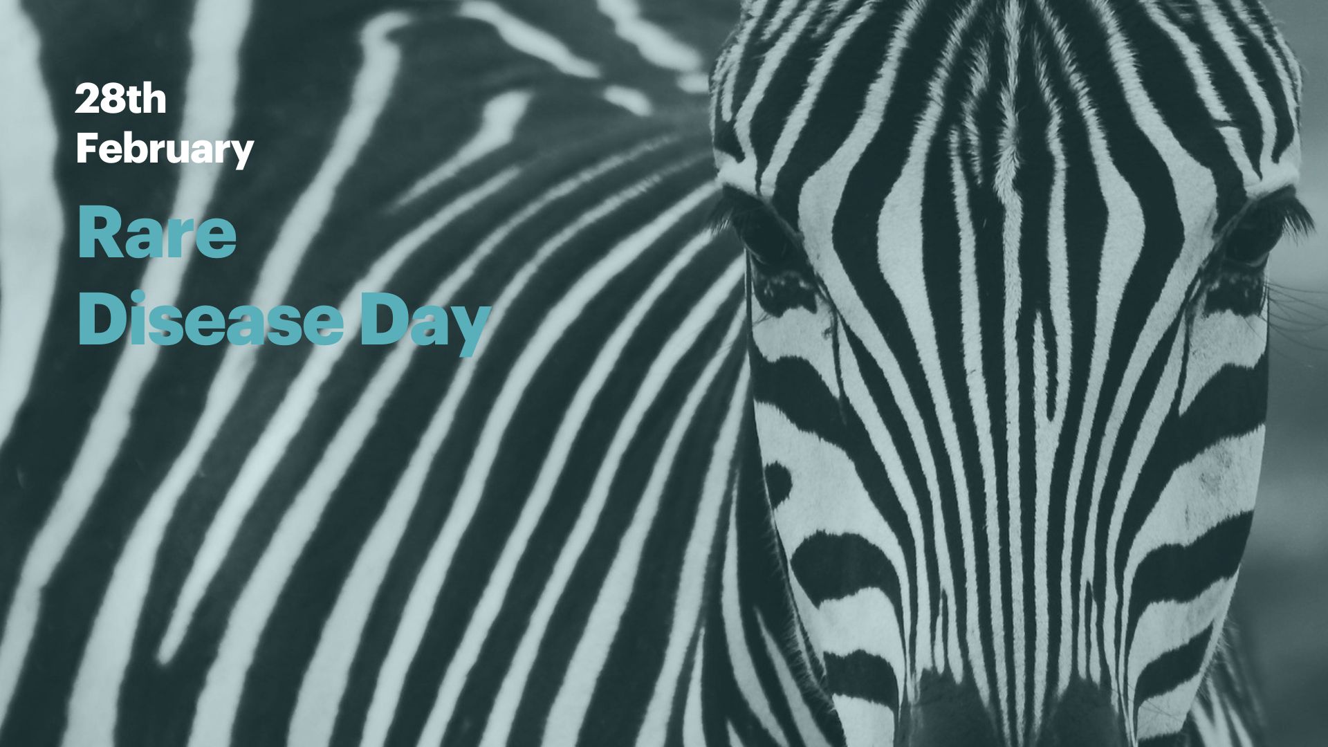 Teamit for Rare Disease Day 2025